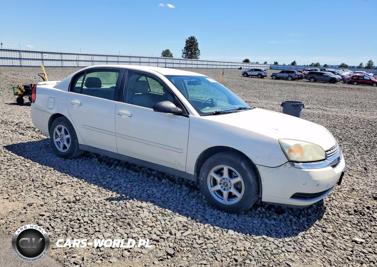 2005 Chevrolet Malibu Ls VIN:1G1ZT528X5F117550 - 4