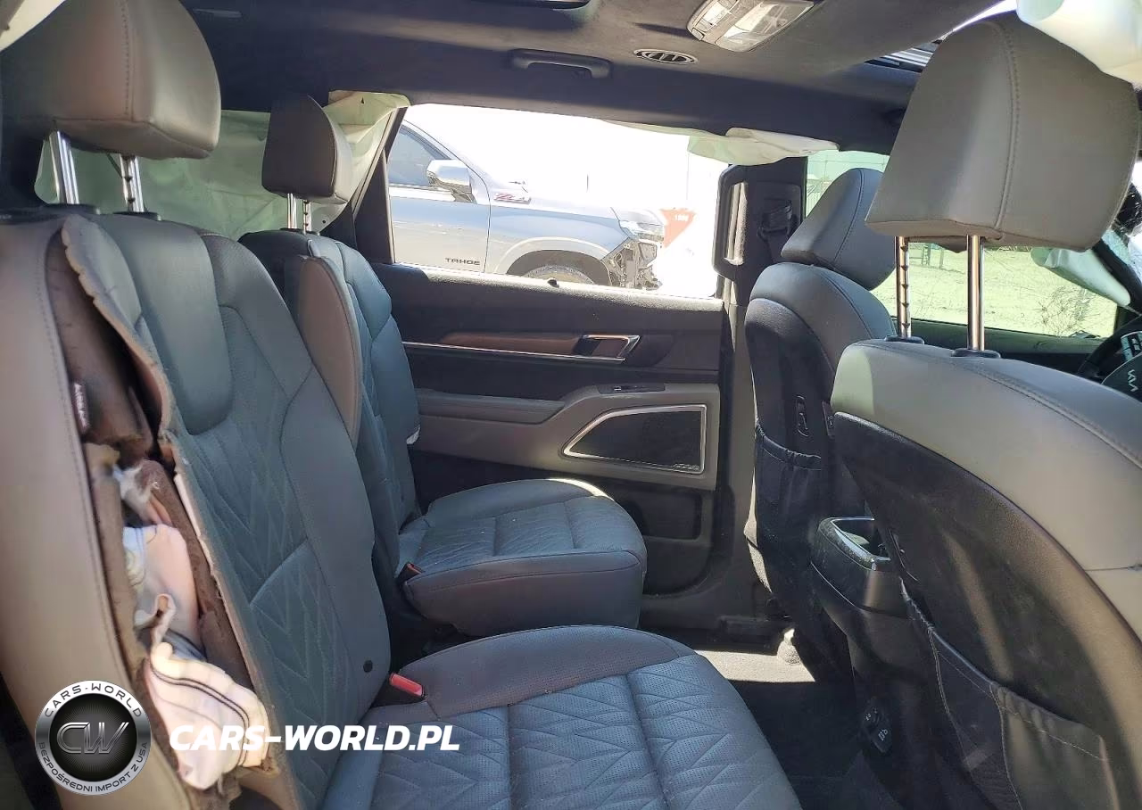 2024 Kia Telluride Sx-Prestige X-Line VIN:5XYP5DGC6RG480057 - 11