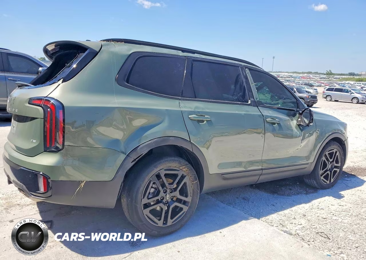 2024 Kia Telluride Sx-Prestige X-Line VIN:5XYP5DGC6RG480057 - 3