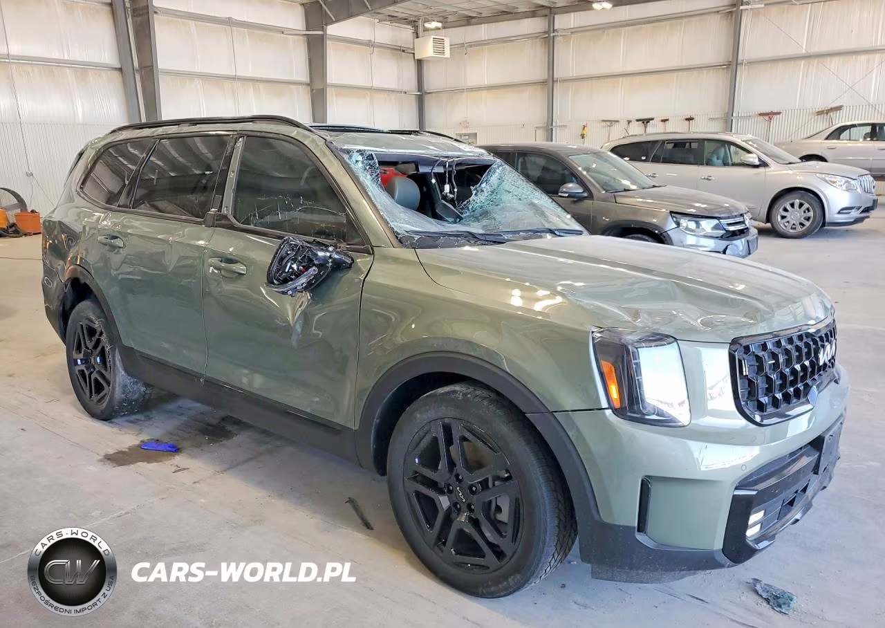 2024 Kia Telluride Sx-Prestige X-Line VIN:5XYP5DGC6RG480057 - 4