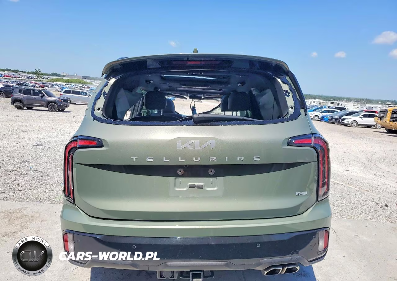 2024 Kia Telluride Sx-Prestige X-Line VIN:5XYP5DGC6RG480057 - 6