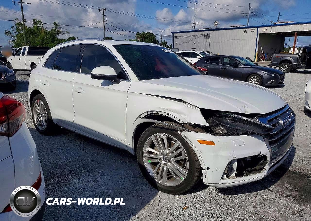 2019 Audi Q5 Prestige VIN:WA1CNAFY0K2032370 - 4