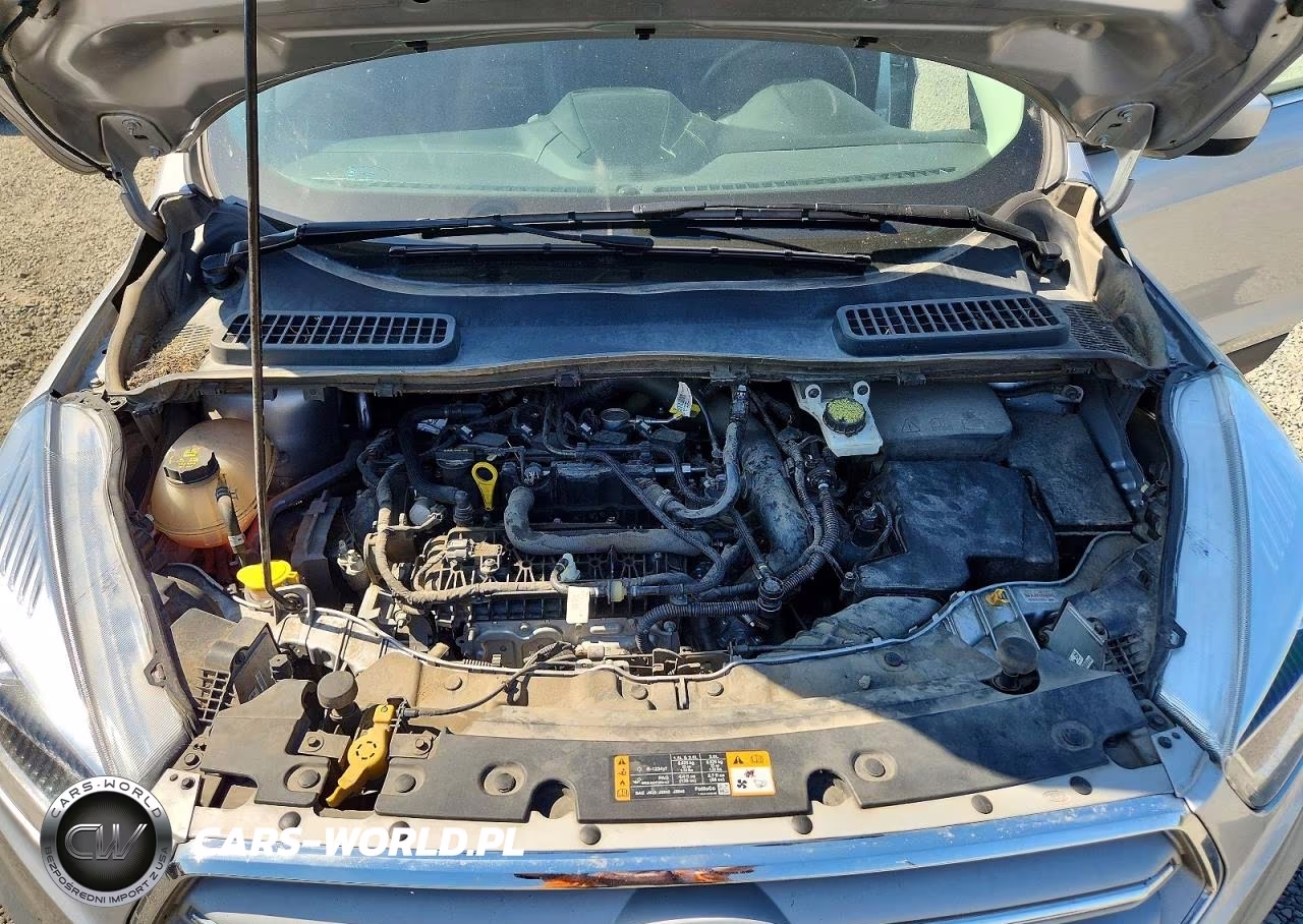 2019 Ford Escape Sel VIN:1FMCU9HD9KUC05515 - 12