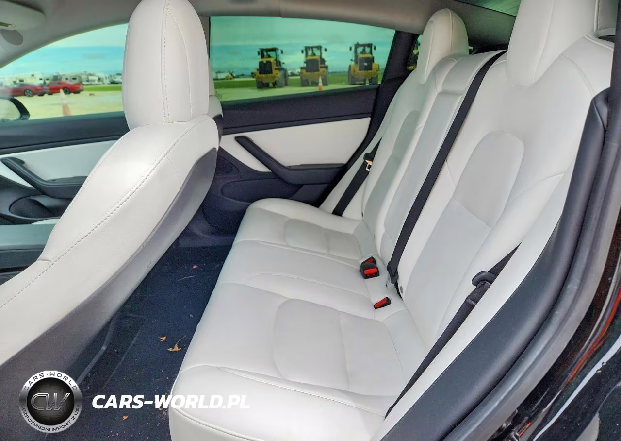 2021 Tesla Model 3 VIN:5YJ3E1EA6MF921619 - 10