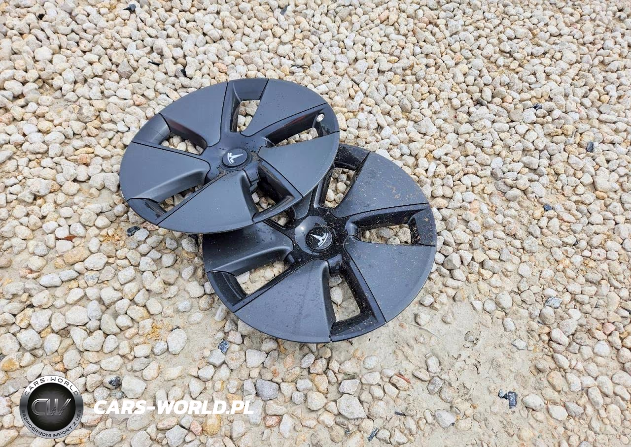 2021 Tesla Model 3 VIN:5YJ3E1EA6MF921619 - 12