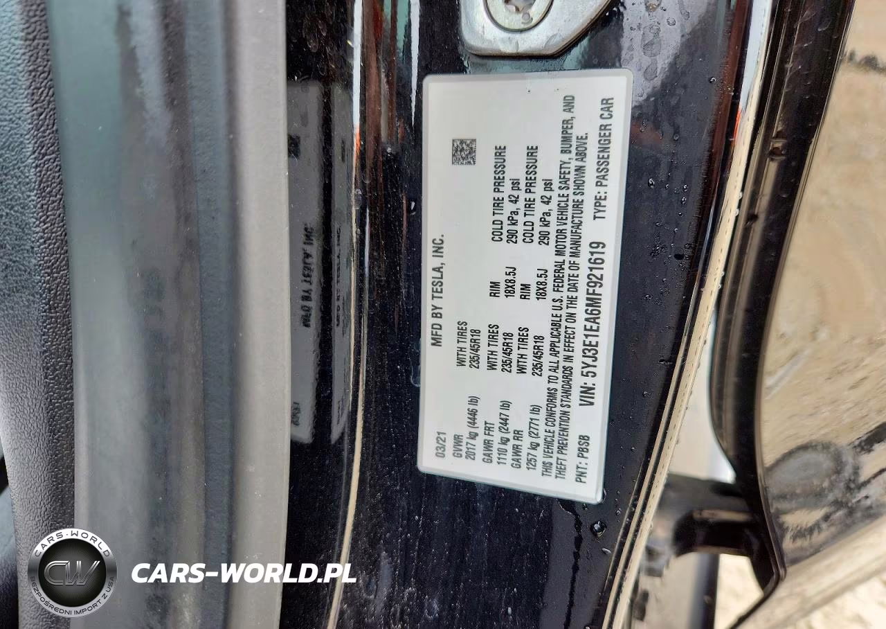 2021 Tesla Model 3 VIN:5YJ3E1EA6MF921619 - 13