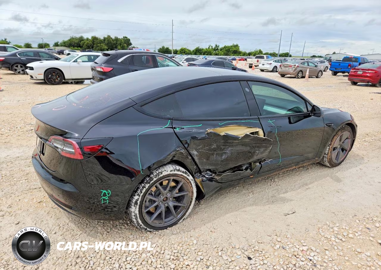 2021 Tesla Model 3 VIN:5YJ3E1EA6MF921619 - 3