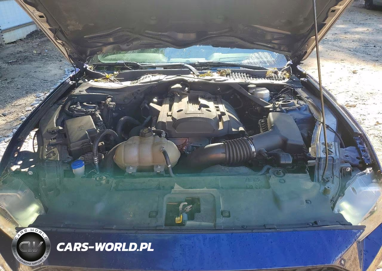 2020 Ford Mustang VIN:1FATP8UHXL5180060 - 11