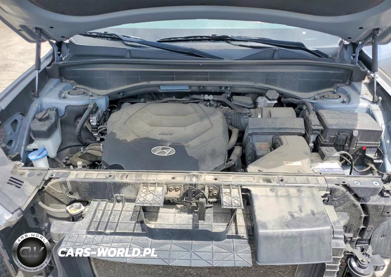 2020 Hyundai Palisade Sel VIN:KM8R4DHE1LU029602 - 12