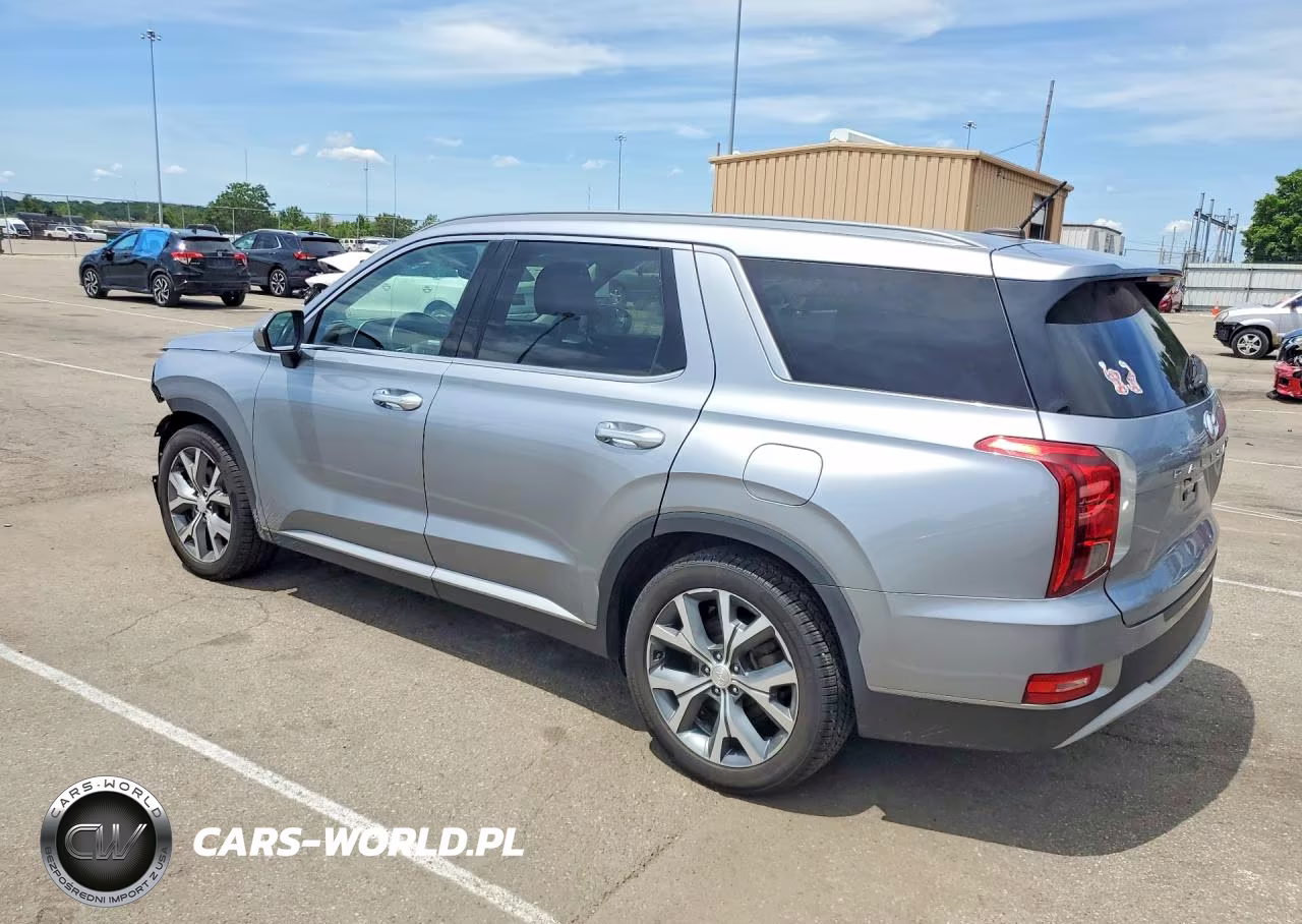 2020 Hyundai Palisade Sel VIN:KM8R4DHE1LU029602 - 2