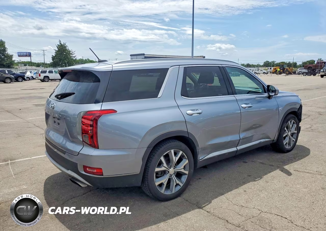2020 Hyundai Palisade Sel VIN:KM8R4DHE1LU029602 - 3
