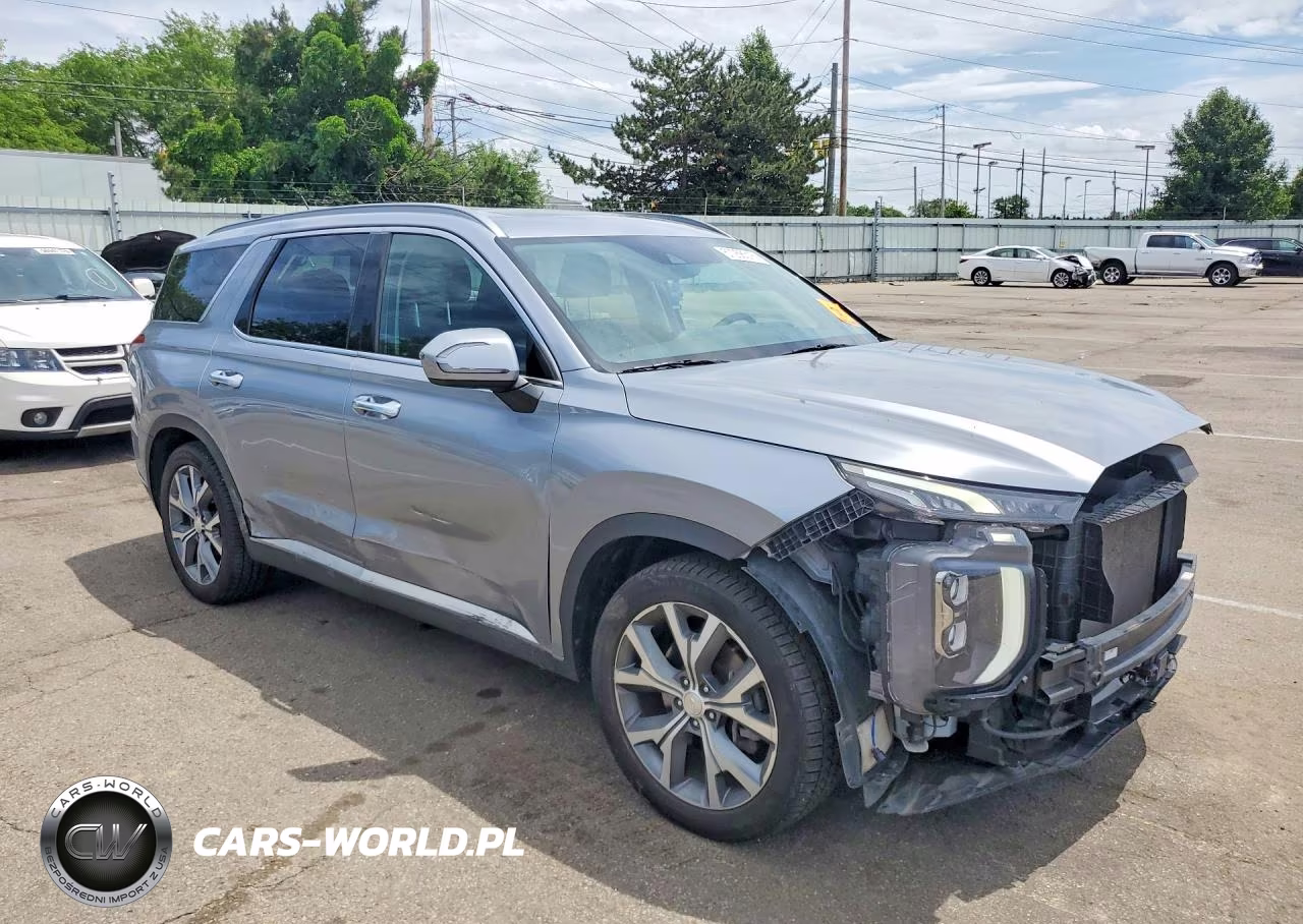 2020 Hyundai Palisade Sel VIN:KM8R4DHE1LU029602 - 4