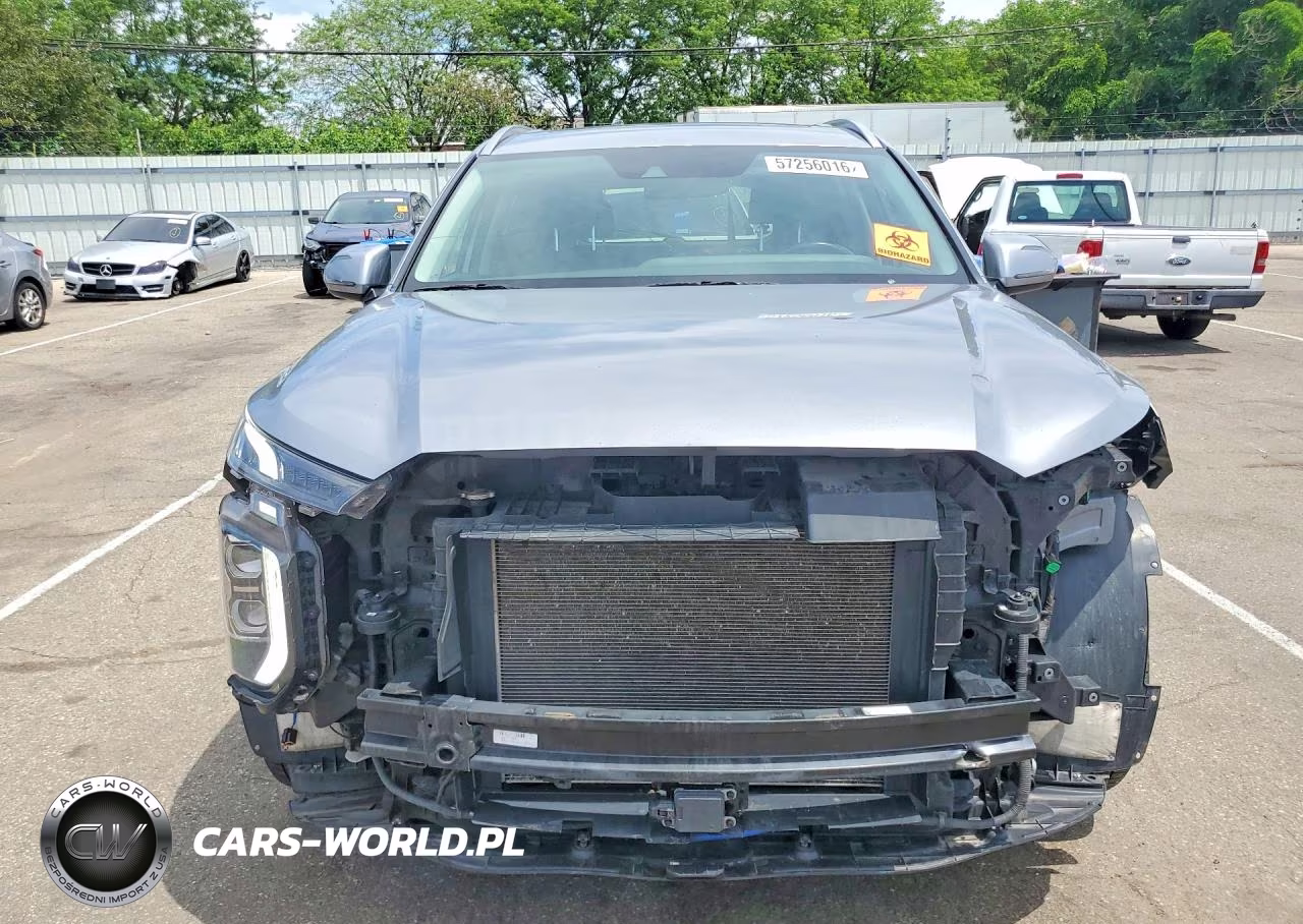 2020 Hyundai Palisade Sel VIN:KM8R4DHE1LU029602 - 5