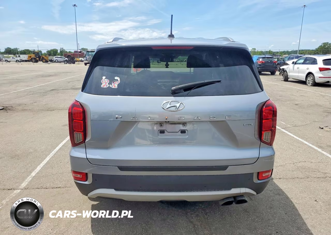 2020 Hyundai Palisade Sel VIN:KM8R4DHE1LU029602 - 6