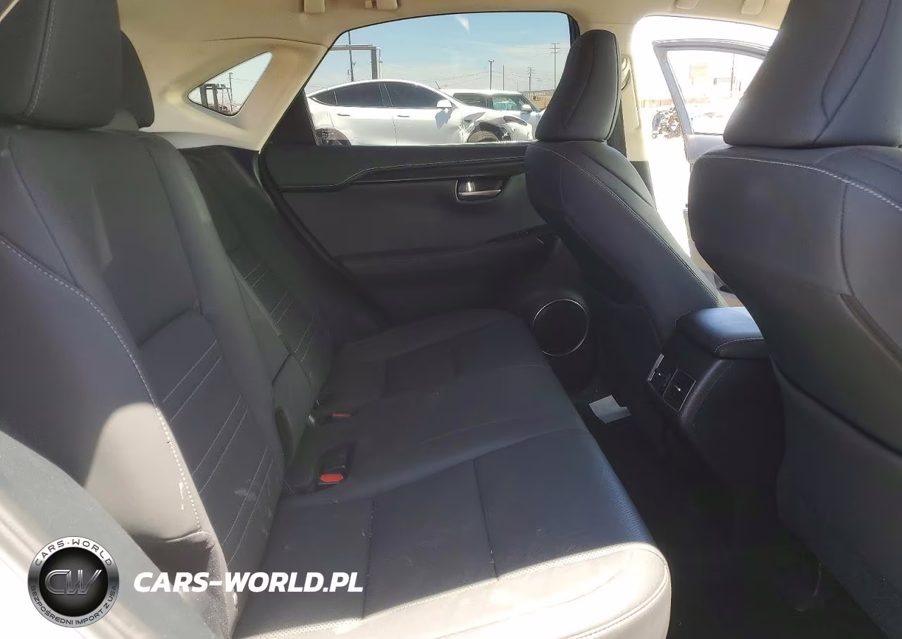 2021 Lexus Nx 300 Base VIN:JTJGARBZ1M5030979 - 10