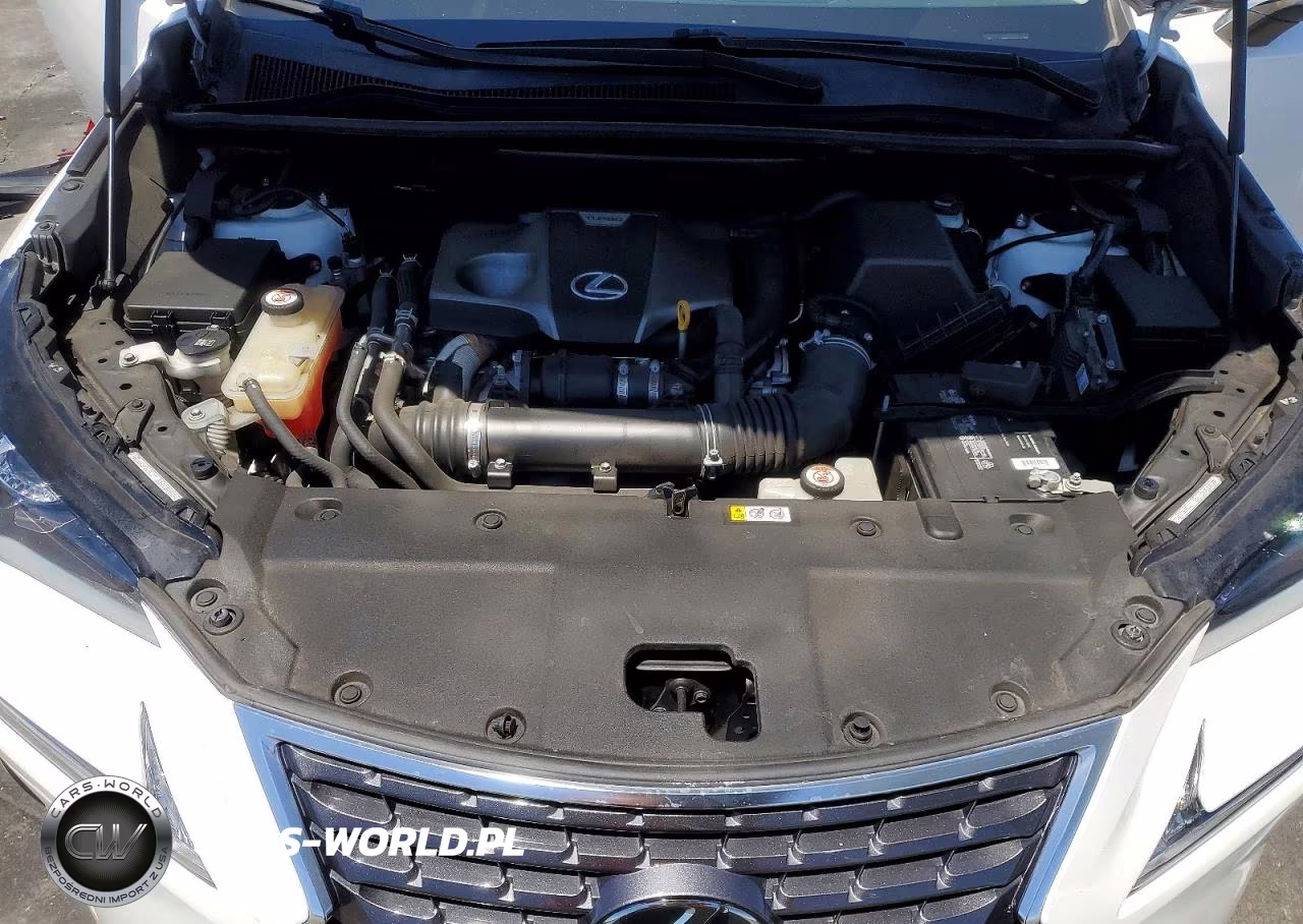 2021 Lexus Nx 300 Base VIN:JTJGARBZ1M5030979 - 11