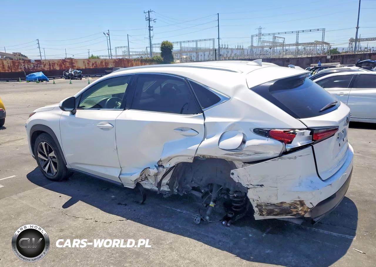 2021 Lexus Nx 300 Base VIN:JTJGARBZ1M5030979 - 2