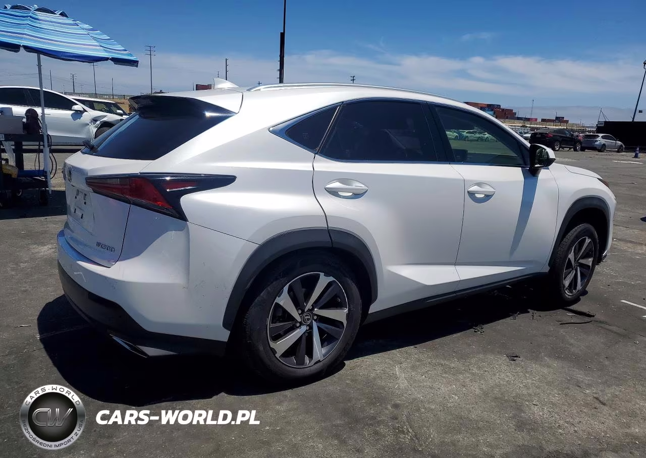 2021 Lexus Nx 300 Base VIN:JTJGARBZ1M5030979 - 3