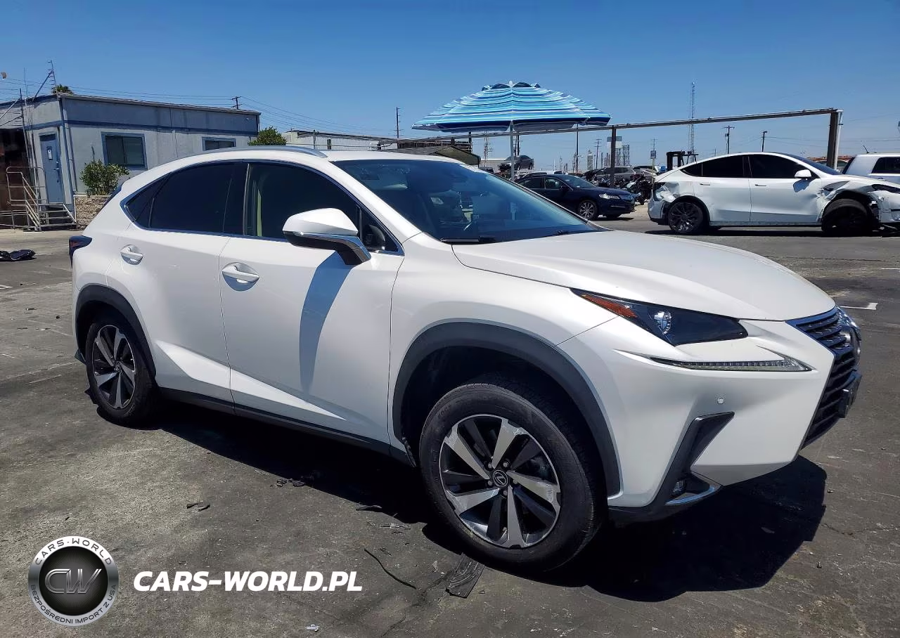 2021 Lexus Nx 300 Base VIN:JTJGARBZ1M5030979 - 4