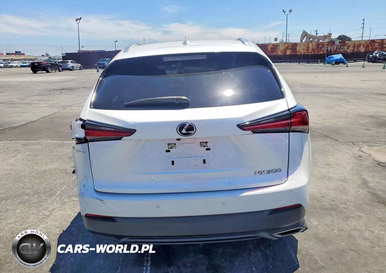 2021 Lexus Nx 300 Base VIN:JTJGARBZ1M5030979 - 6