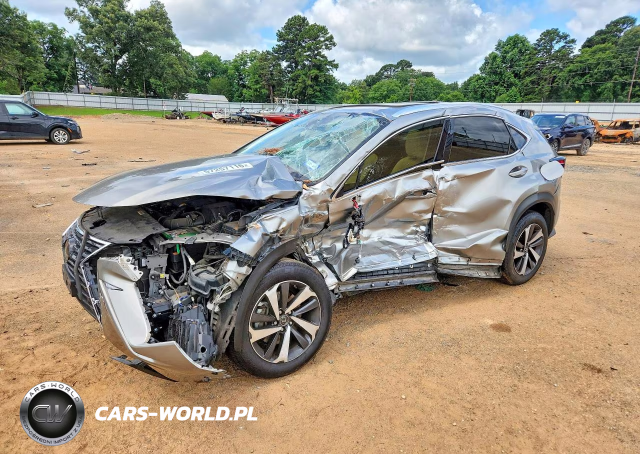 2020 Lexus Nx 300 Awd