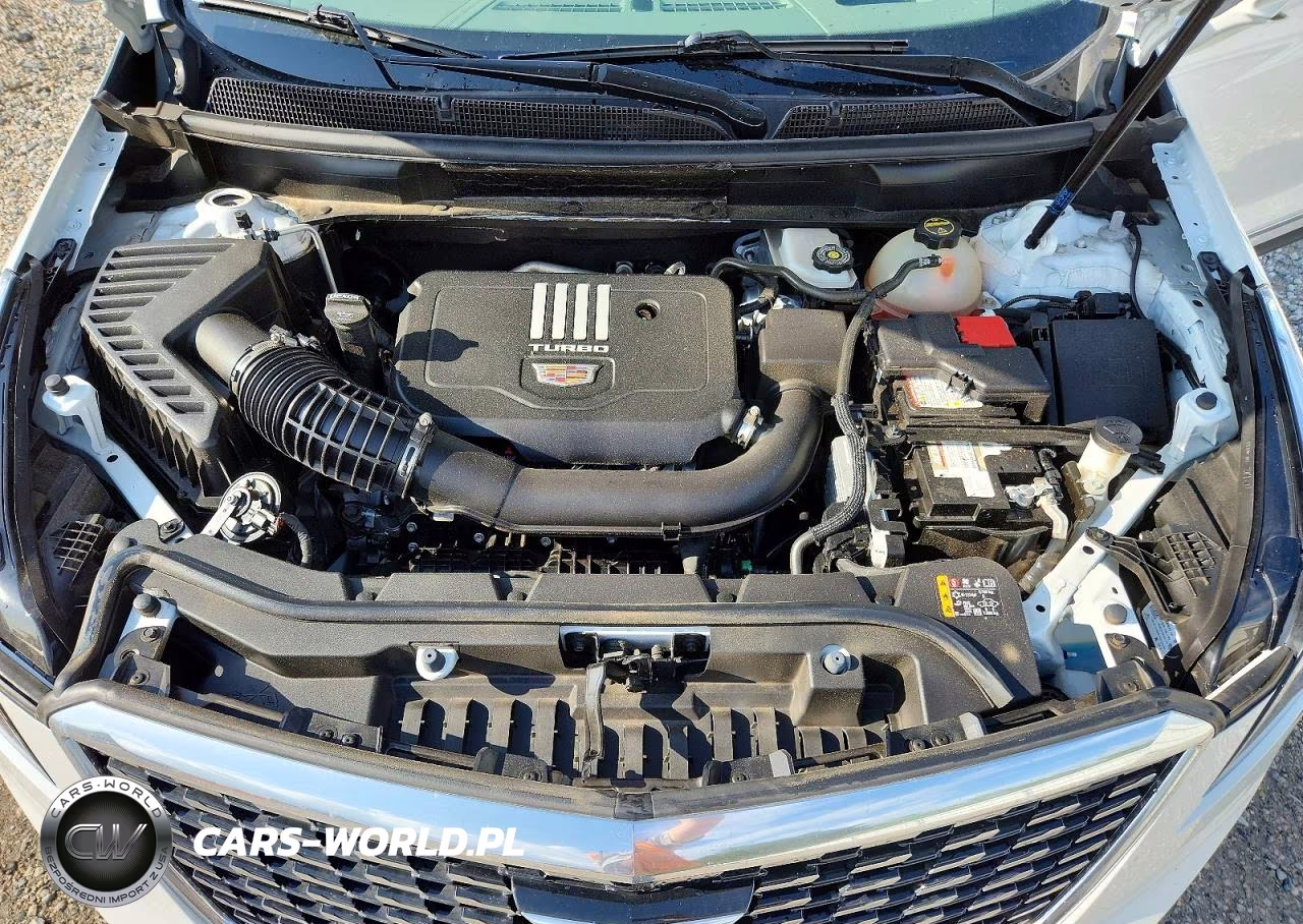 2024 Cadillac Xt5 Premium Luxury VIN:1GYKNCR48RZ727648 - 12