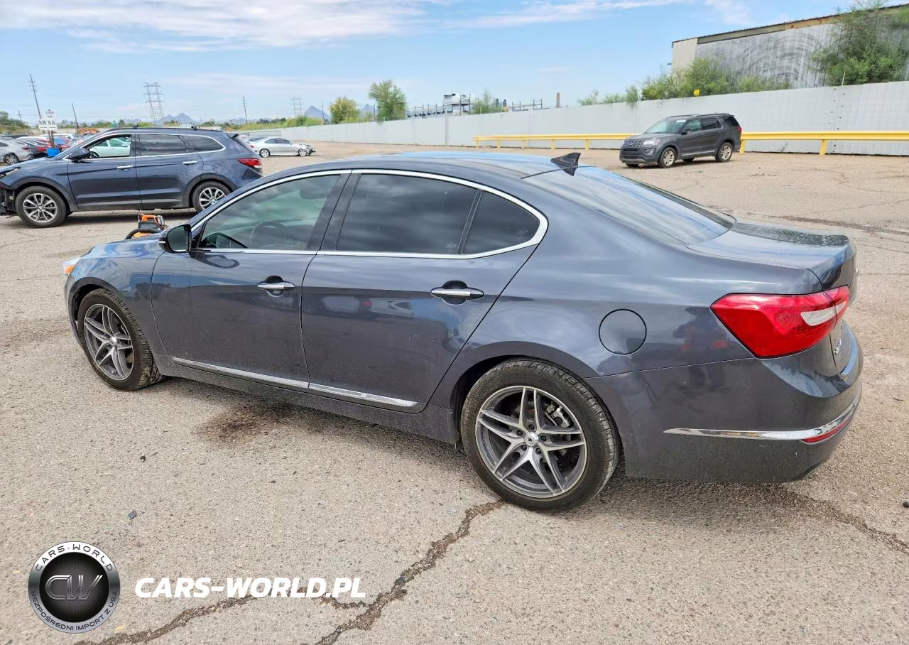 2014 Kia Cadenza Ex VIN:KNALN4D70E5120773 - 2