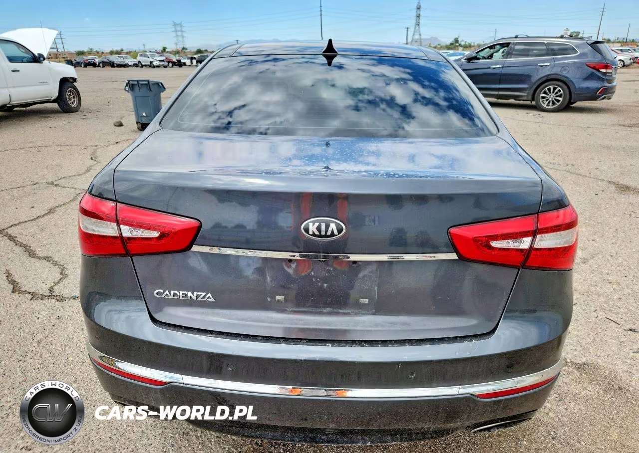 2014 Kia Cadenza Ex VIN:KNALN4D70E5120773 - 6