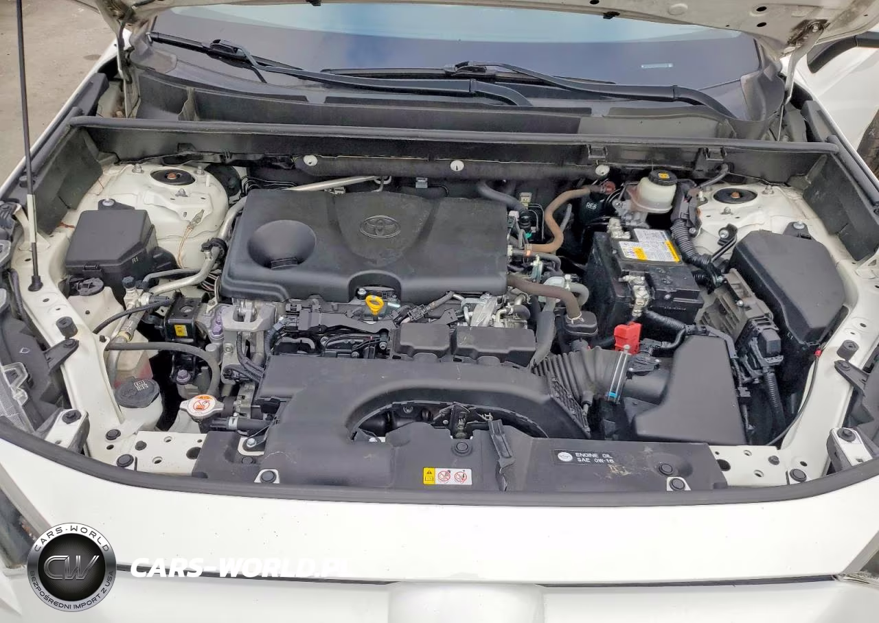 2019 Toyota Rav4 Le VIN:JTMK1RFV3KD501876 - 12