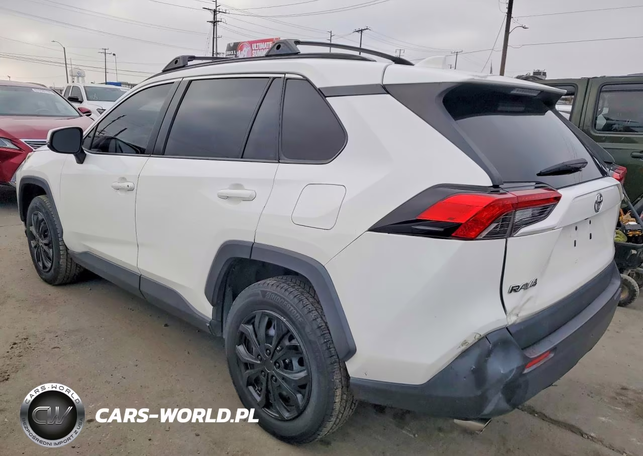 2019 Toyota Rav4 Le VIN:JTMK1RFV3KD501876 - 2