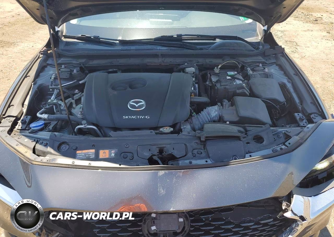 2019 Mazda 3 Preferred Plus VIN:JM1BPACLXK1108087 - 11
