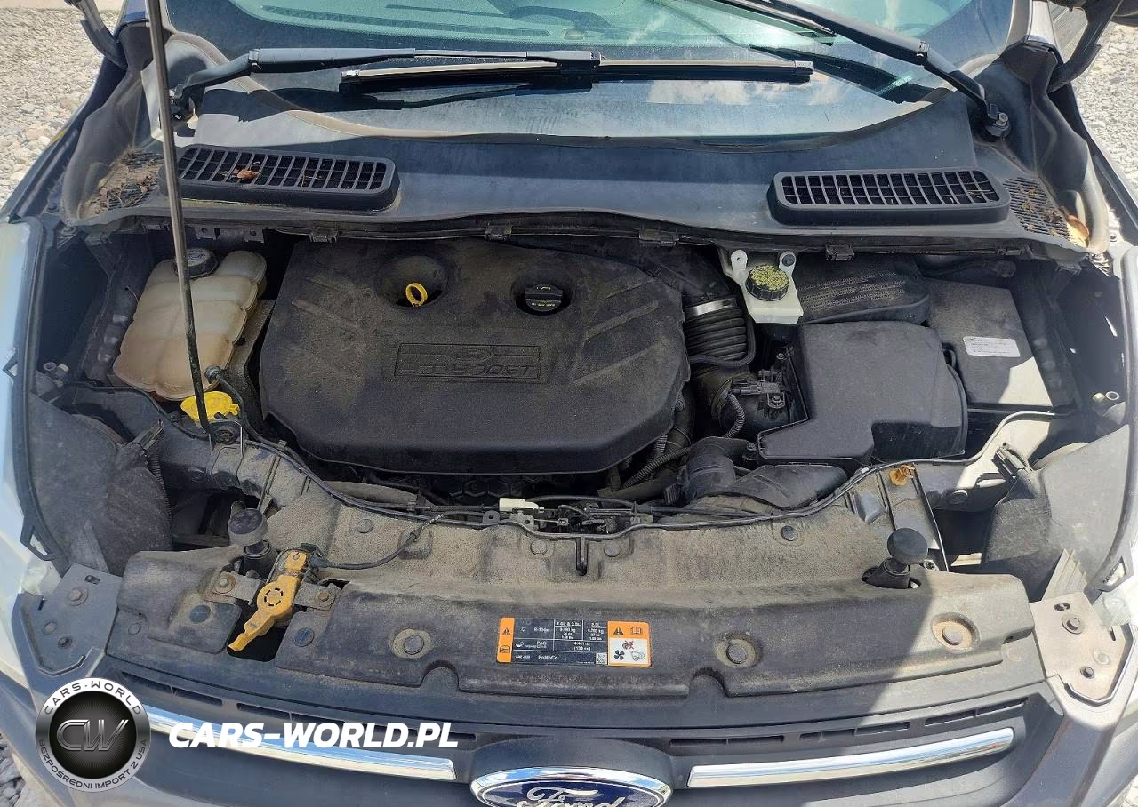 2013 Ford Escape Se VIN:1FMCU9G92DUC68164 - 12