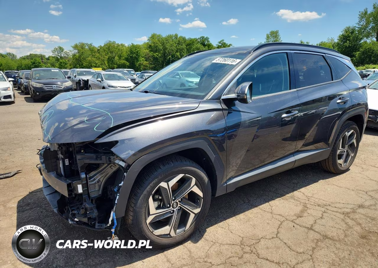 2022 Hyundai Tucson Limited VIN:5NMJECAE4NH106296 - 1