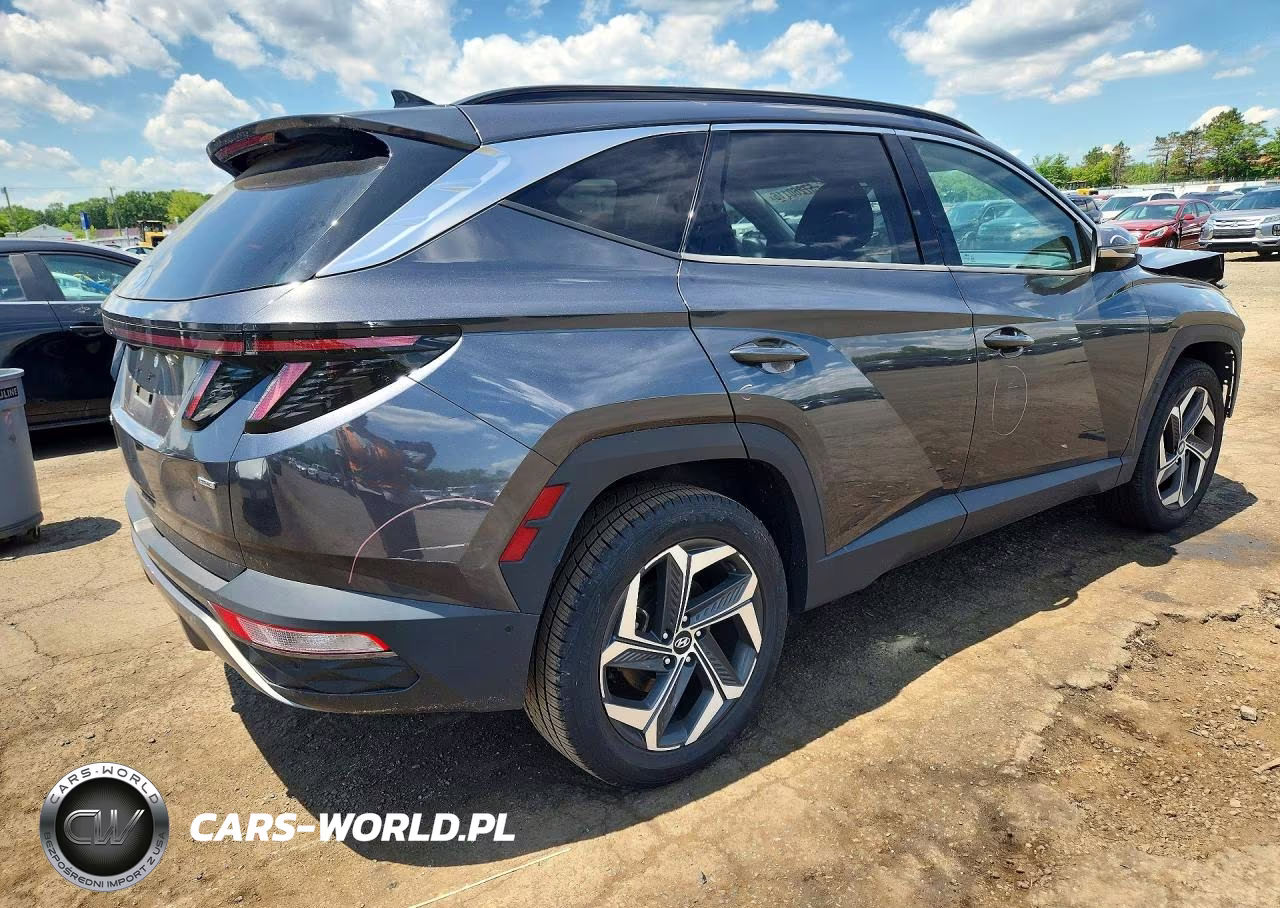 2022 Hyundai Tucson Limited VIN:5NMJECAE4NH106296 - 3