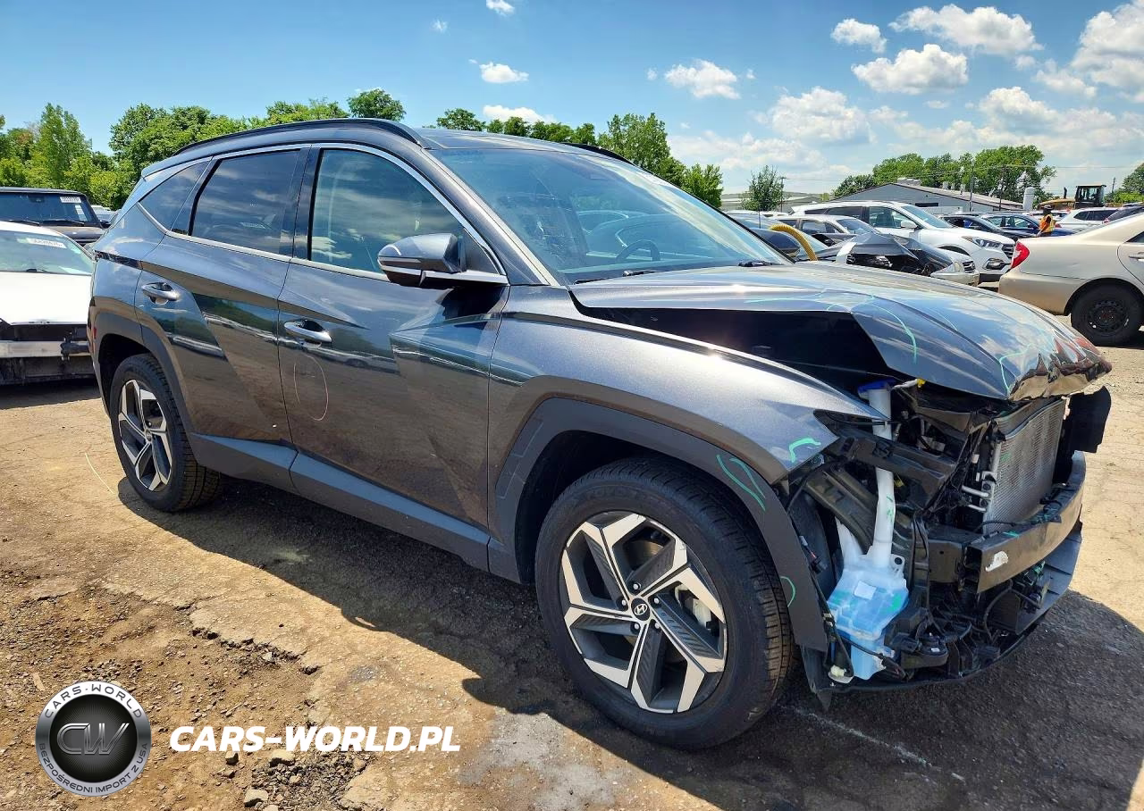 2022 Hyundai Tucson Limited VIN:5NMJECAE4NH106296 - 4