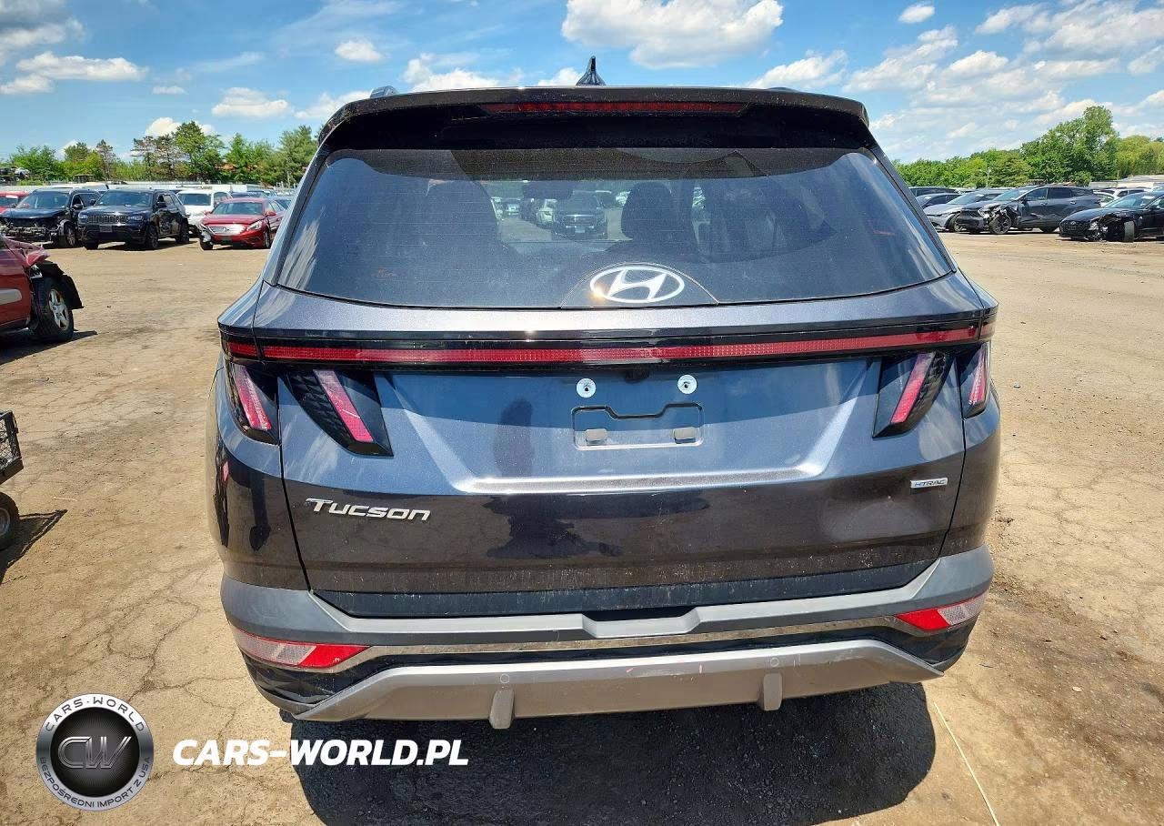 2022 Hyundai Tucson Limited VIN:5NMJECAE4NH106296 - 6