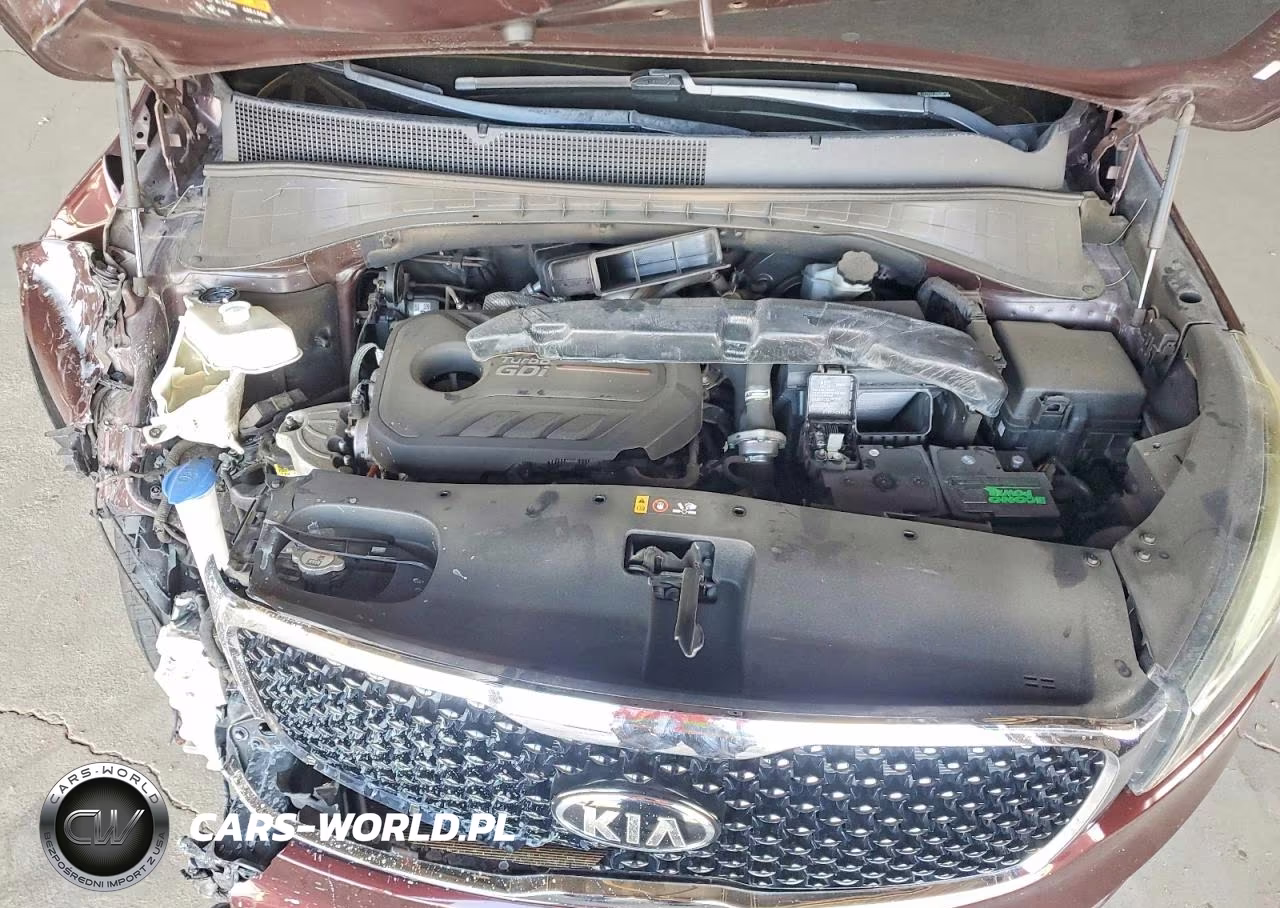2017 Kia Sorento Ex VIN:5XYPH4A13HG280752 - 11
