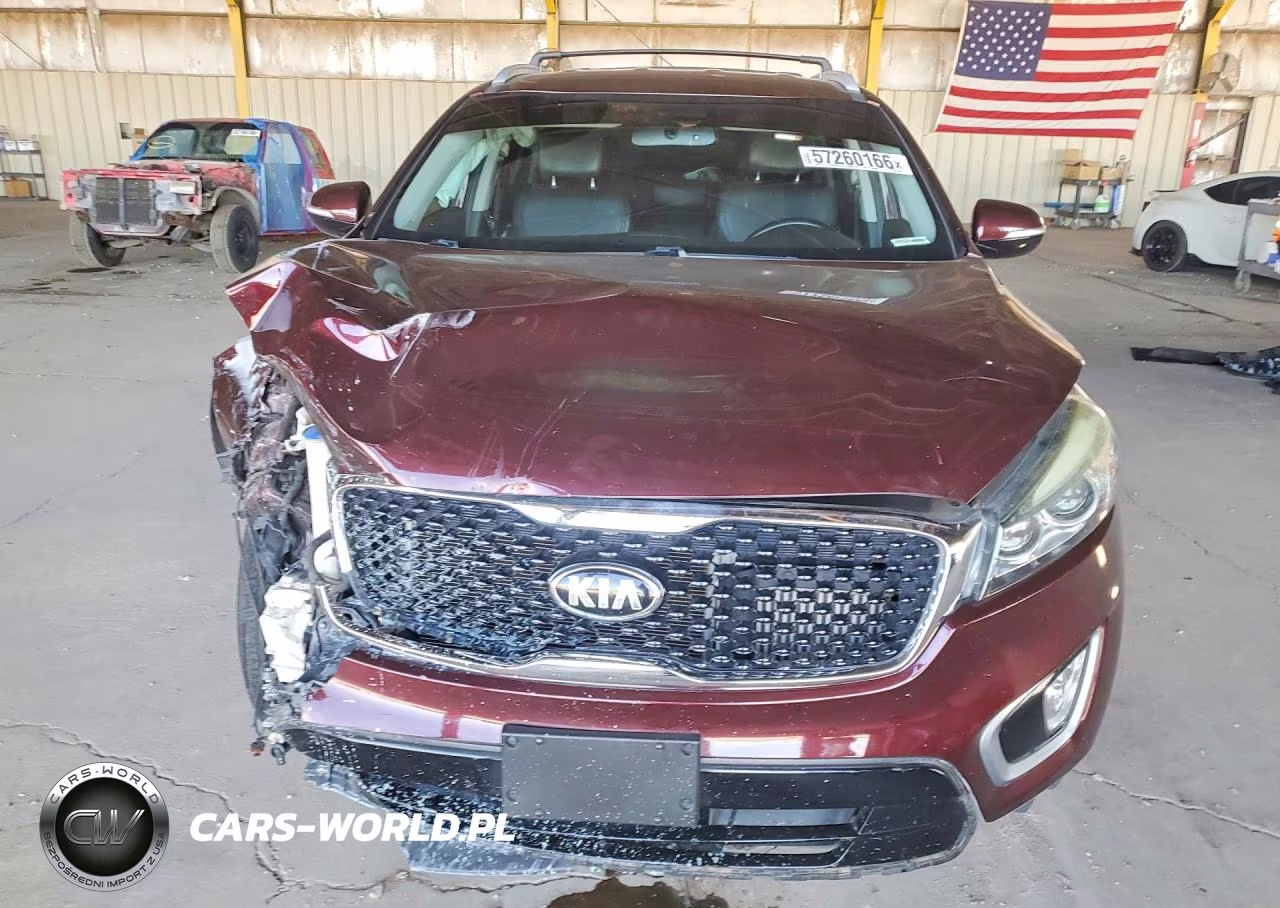 2017 Kia Sorento Ex VIN:5XYPH4A13HG280752 - 5