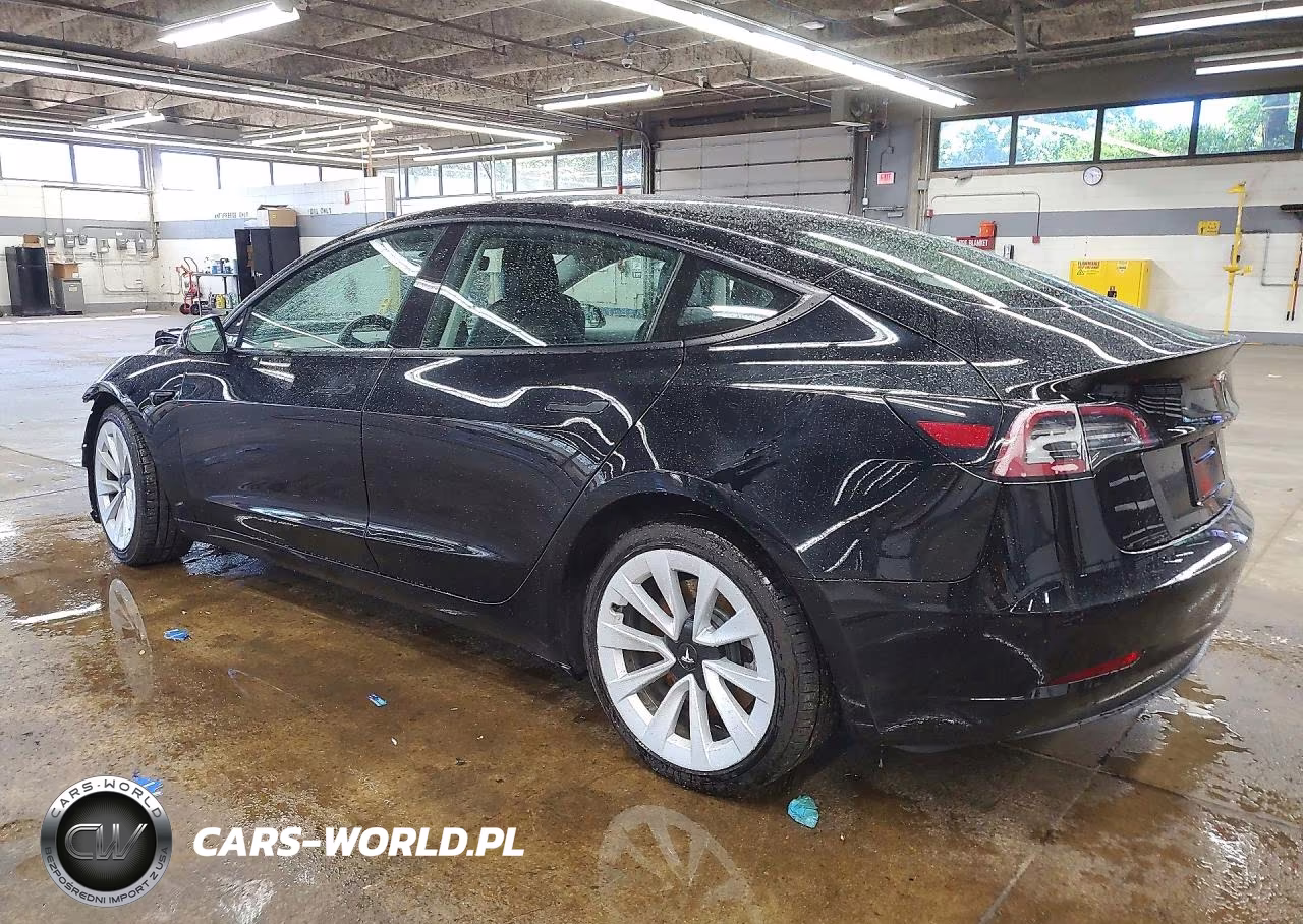 2023 Tesla Model 3 VIN:5YJ3E1EA5PF438031 - 2