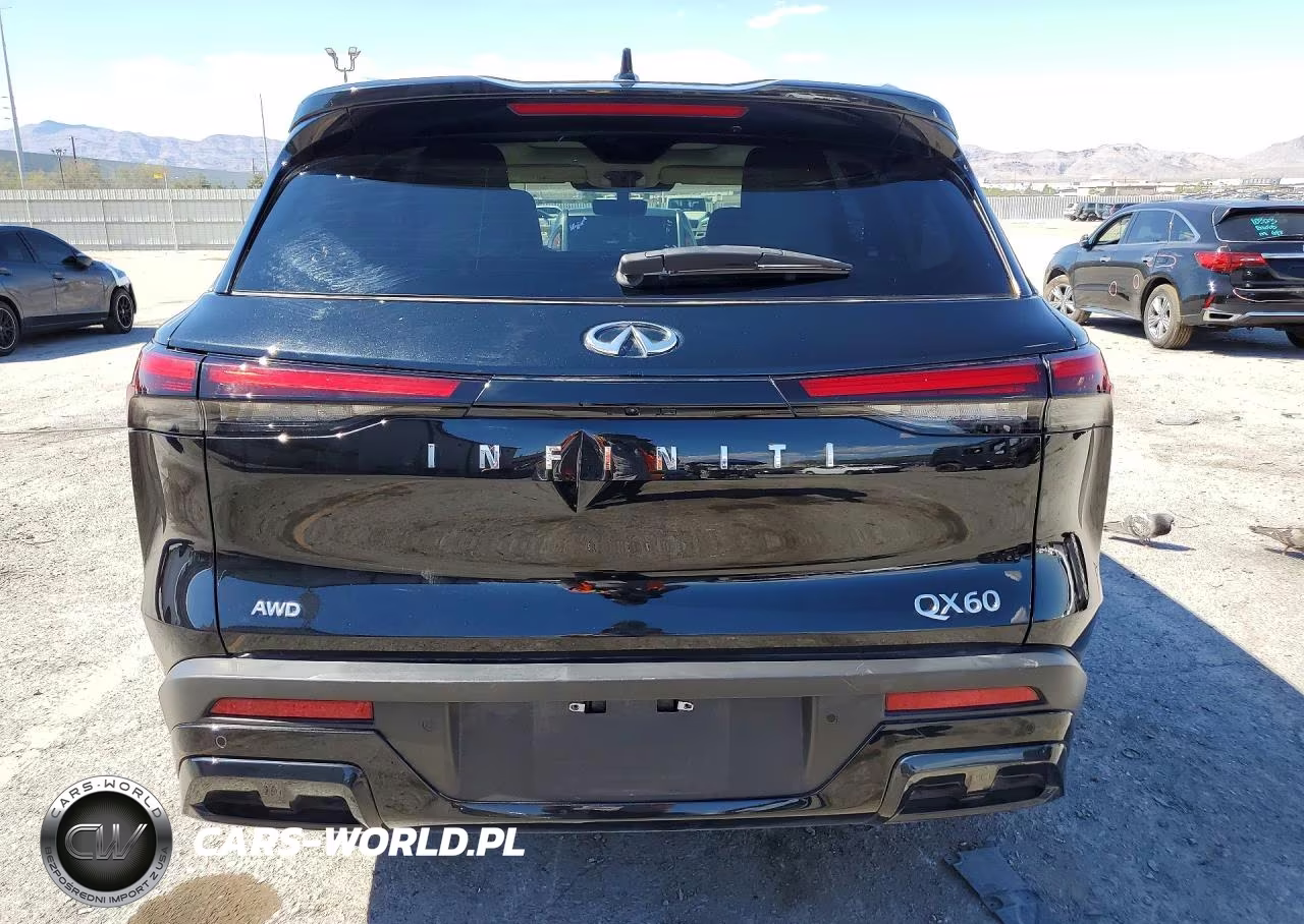 2024 Infiniti Qx60 Luxe VIN:5N1DL1FS7RC358128 - 6
