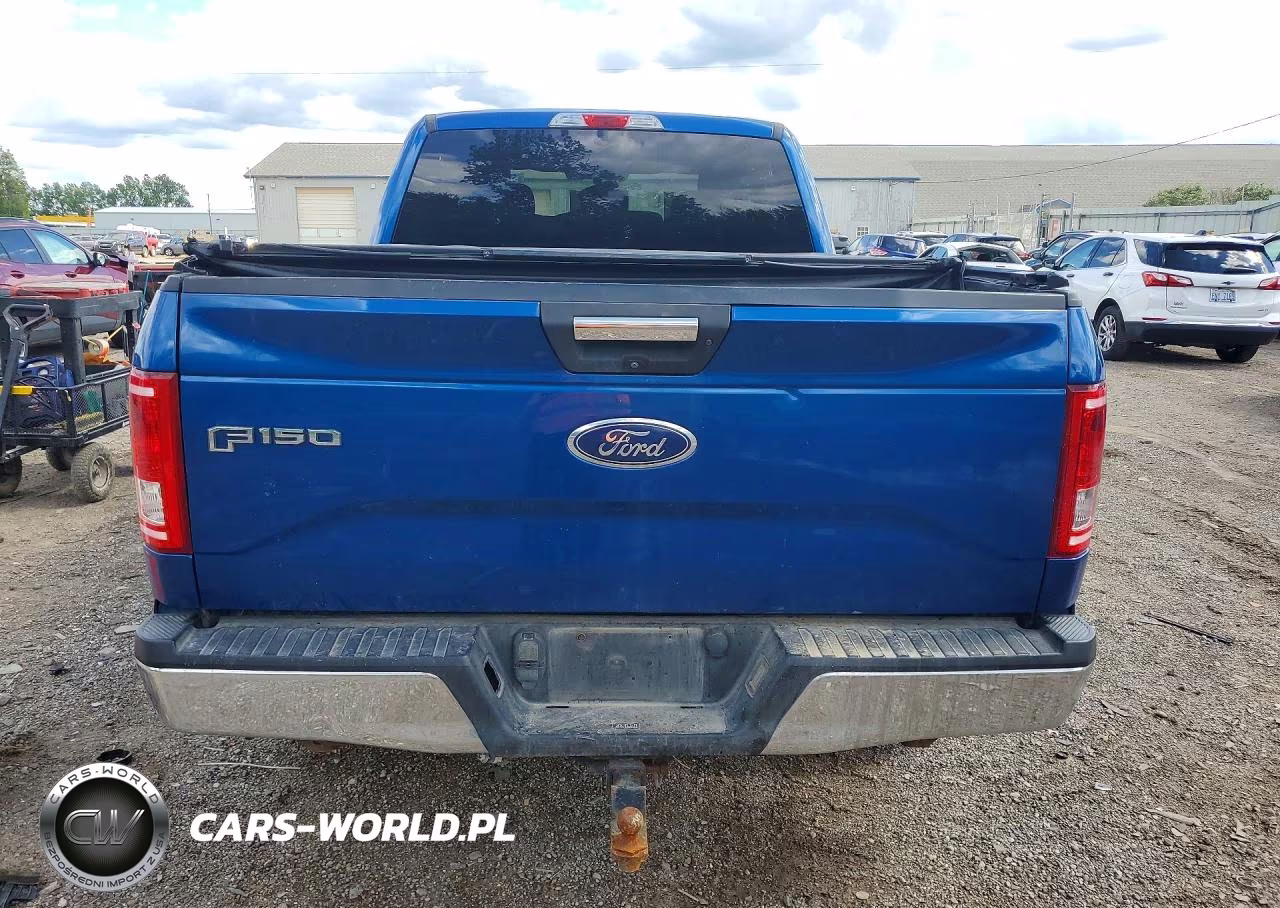 2017 Ford F150 Supercrew VIN:1FTFW1EG3HFC68053 - 6