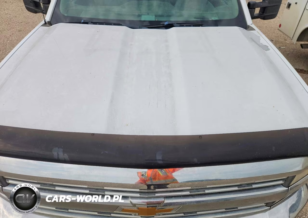 2015 Chevrolet Silverado K2500 Heavy Duty VIN:1GC1KUEG0FF124528 - 11