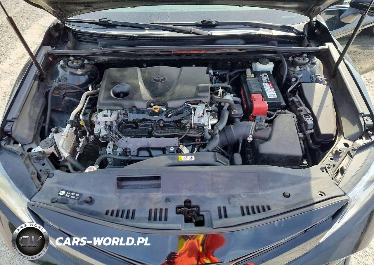 2019 Toyota Camry Le VIN:4T1B11HK8KU251468 - 11
