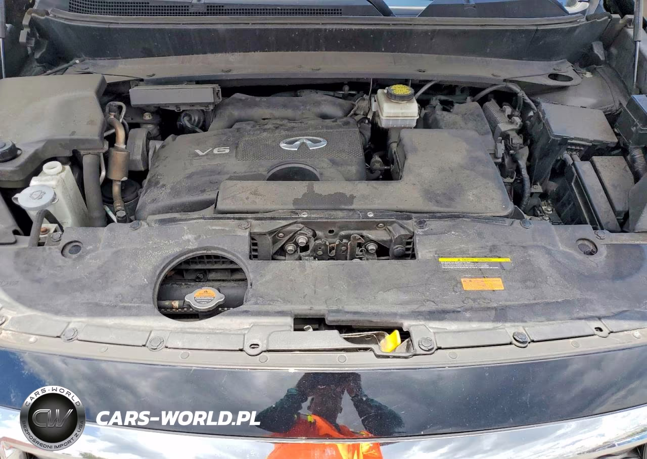 2019 Infiniti Qx60 Pure VIN:5N1DL0MN8KC555886 - 12
