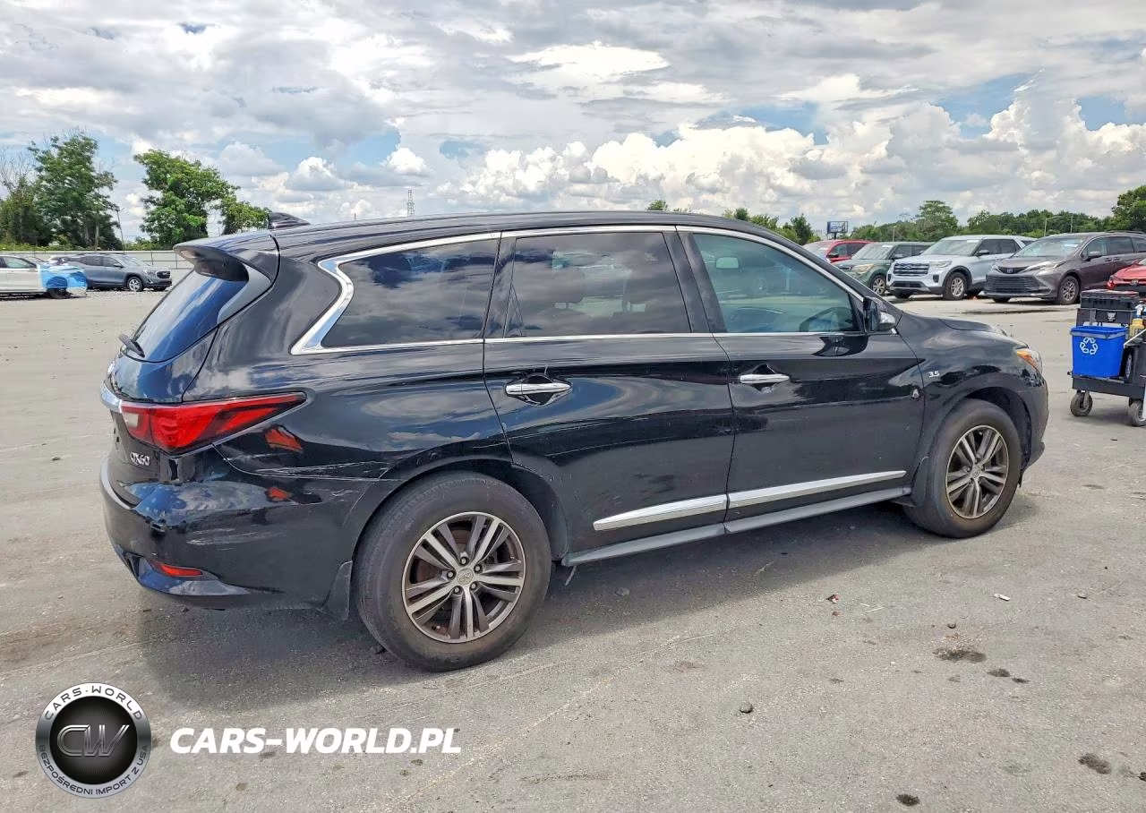 2019 Infiniti Qx60 Pure VIN:5N1DL0MN8KC555886 - 3
