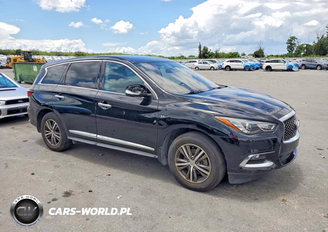 2019 Infiniti Qx60 Pure VIN:5N1DL0MN8KC555886 - 4