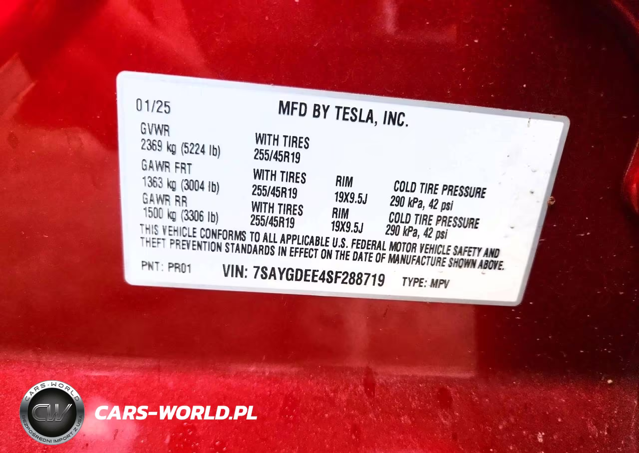 2025 Tesla Model Y VIN:7SAYGDEE4SF288719 - 12