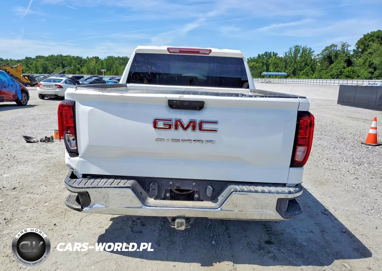 2024 GMC Sierra C1500 VIN:1GTPHAED2RZ345550 - 6