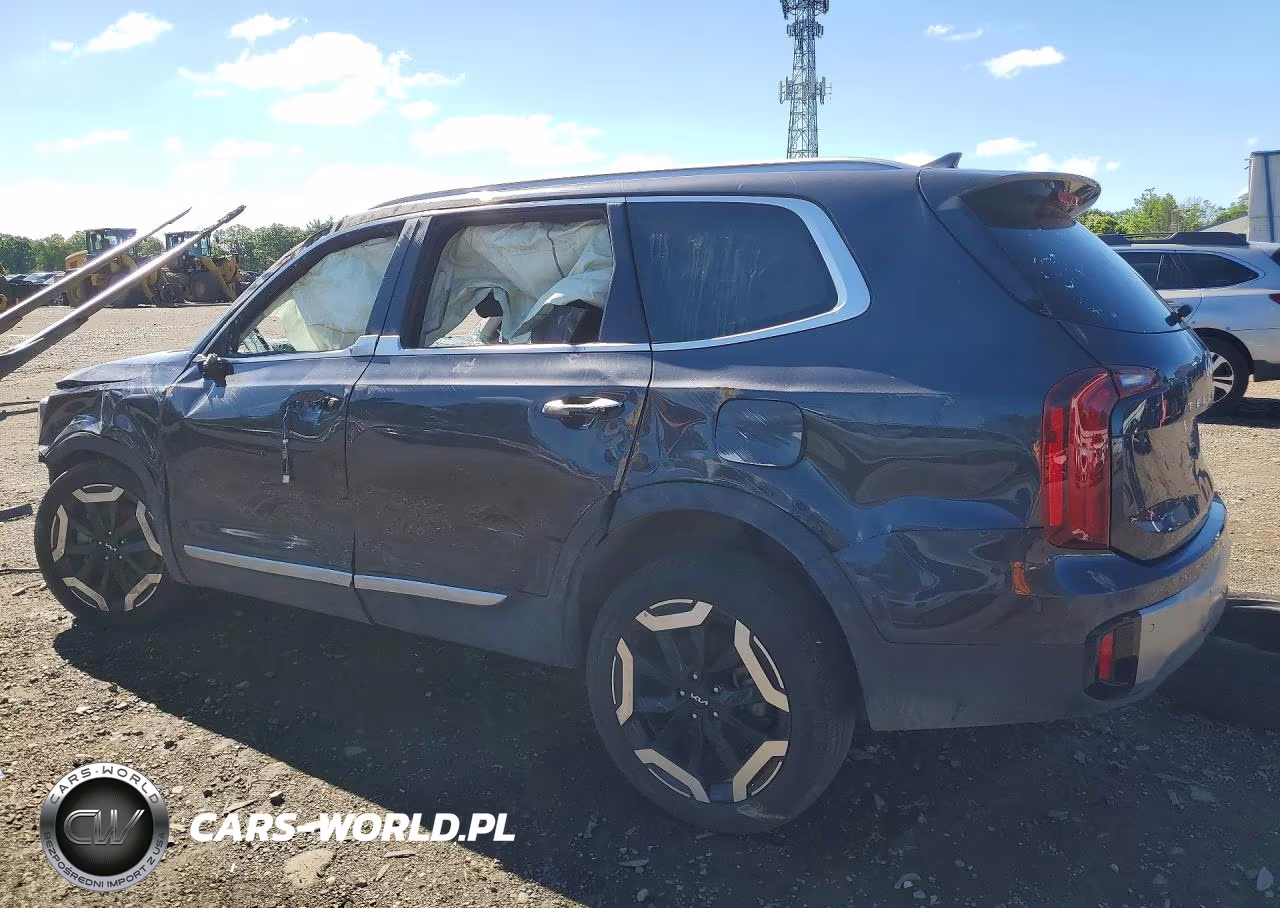 2025 Kia Telluride S VIN:5XYP6DGC0SG594218 - 2