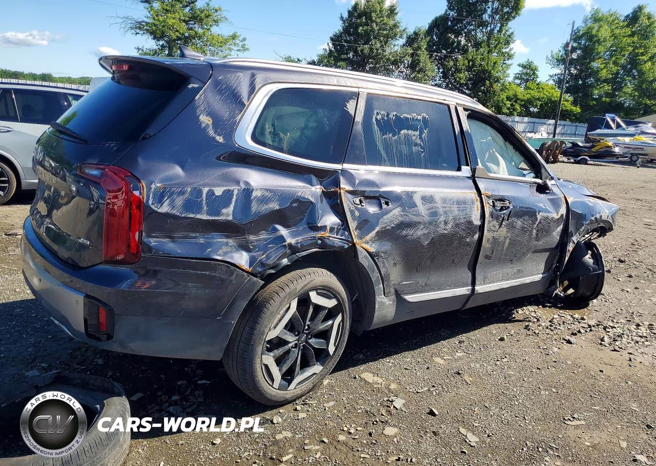 2025 Kia Telluride S VIN:5XYP6DGC0SG594218 - 3